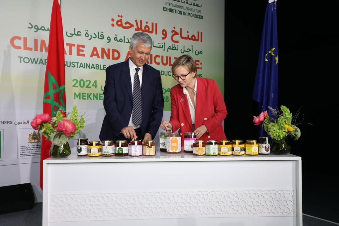 Dégustation du miel marocain
