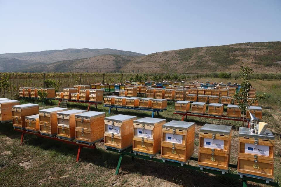 Alpine Bees