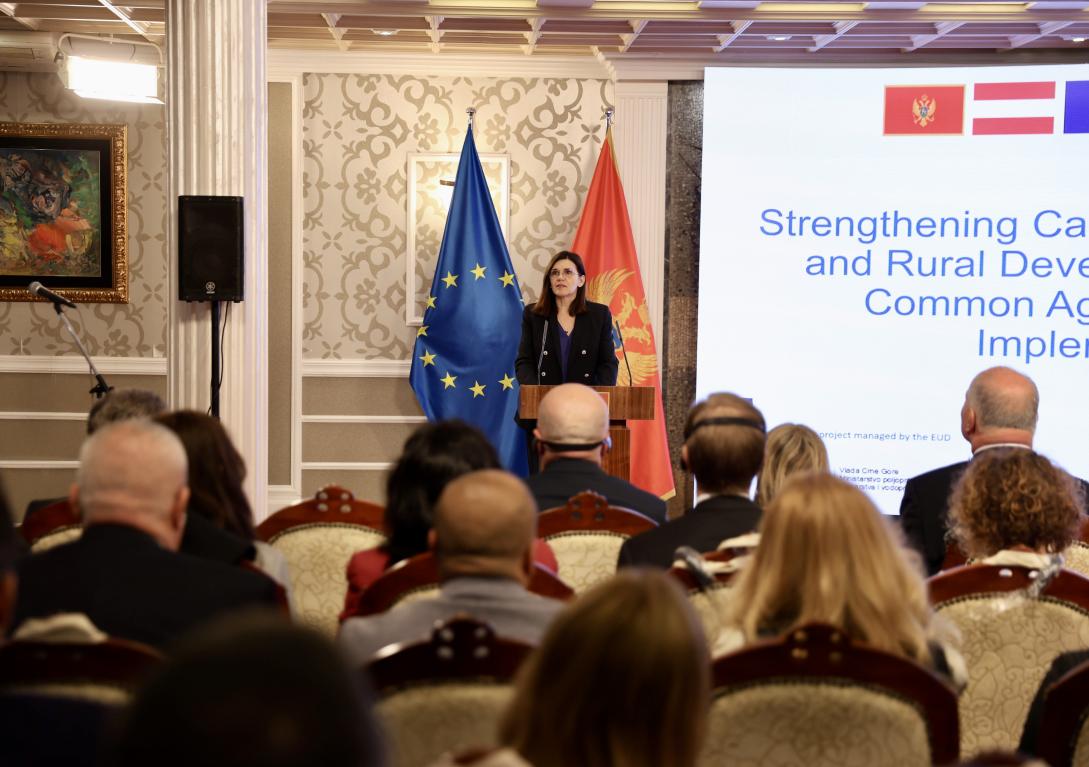 Oana Cristina Popa standing in front of a crowd of audience at Villa Gorica. Behind her there are two flags,the Montenegrin flag and the flag of the EU