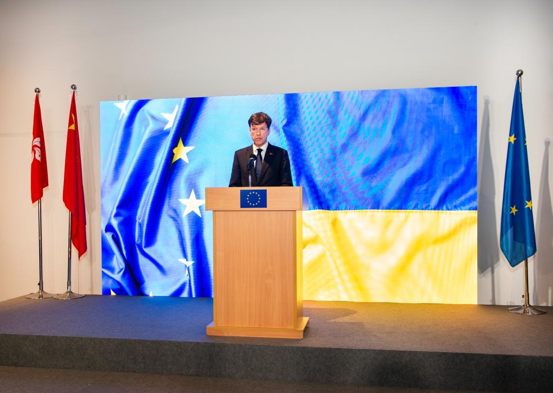 Ambassador Harvey Rouse at EU Day Reception 