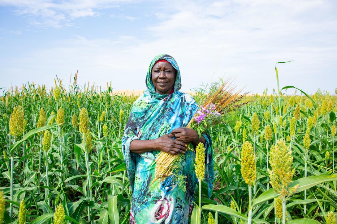 Haya Mohamed, a farmer from Wad Daief village, Gedaref, surrounded by her sorghum crops.