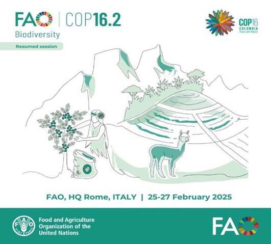 FAO COP 16.2