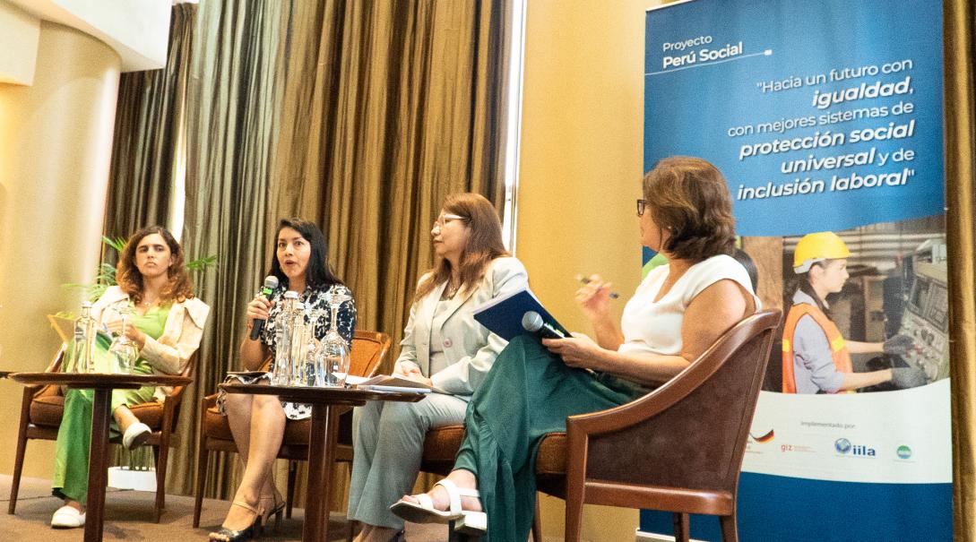 Proyecto Peru Social 270225