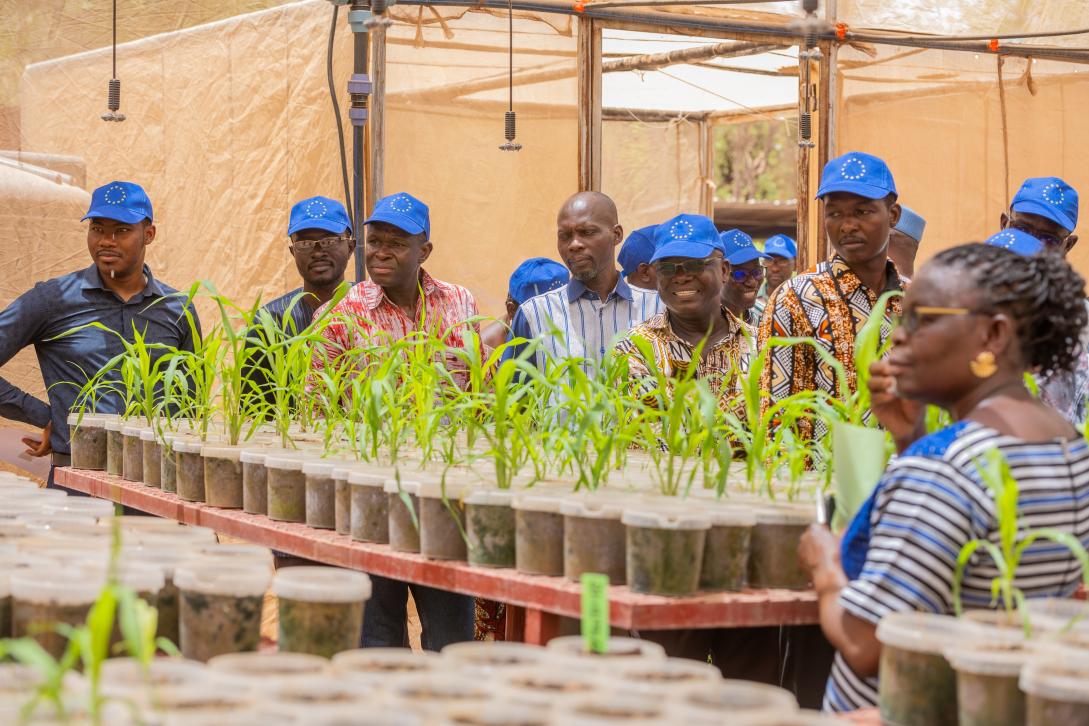 Les acteurs de la recherche apprécient les innovations agricoles de l’initiative DeSIRA