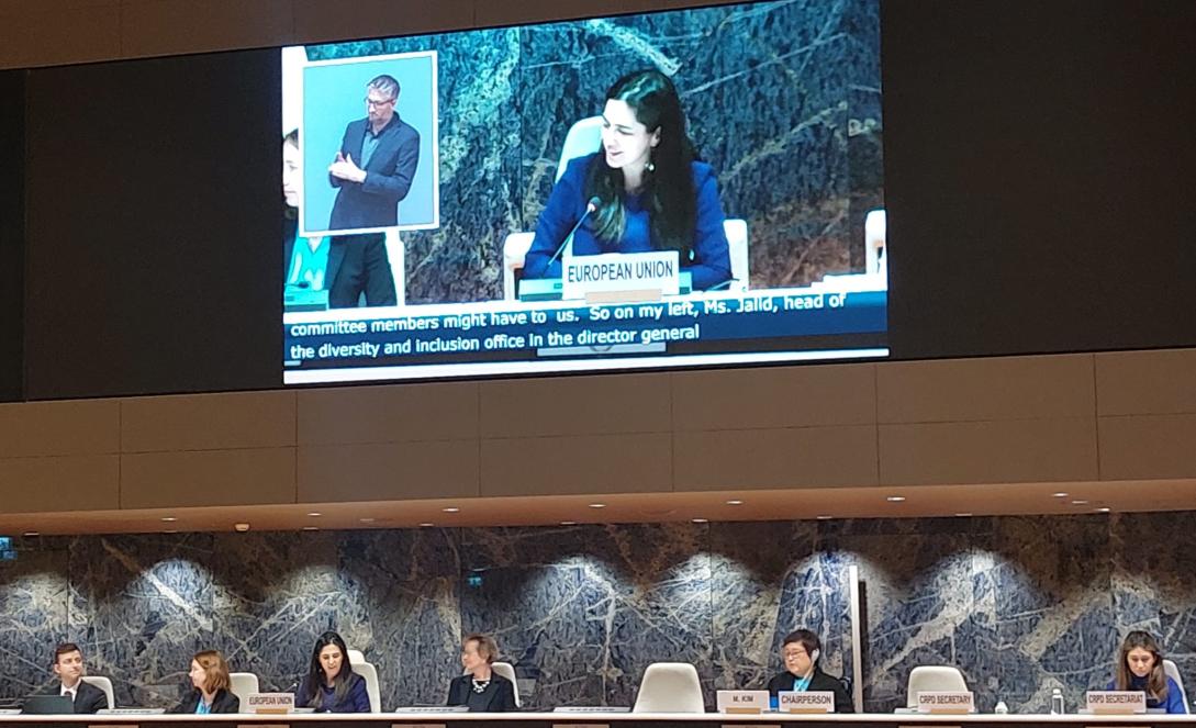 EU holds dialogue with the UN Committee on the Rights of Persons with Disabilities