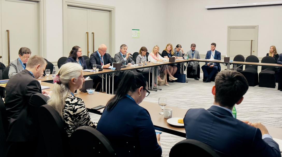  EU and IRENA Delegates discuss the role of solar power in leading a democratic green transition