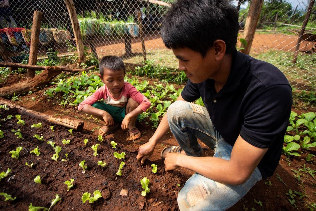 A father and his child are planting lettuce in their new home garden in Saravane province, sustaining the new source of diversified food and nutrients for their family.