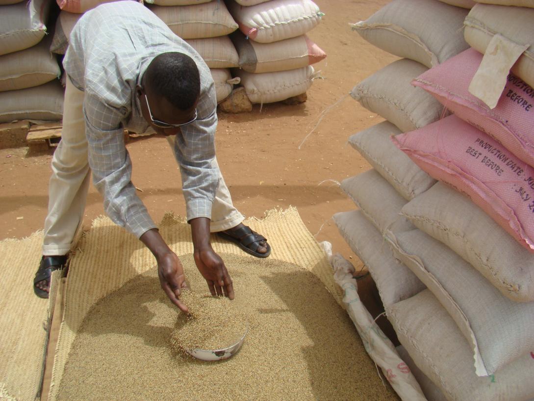Les pays ouest africains et subsahariens sont sujets aux catastrophes naturelles et aux crises alimentaires récurrentes pour un certain nombre de raisons