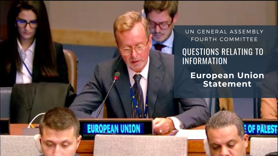 19 October 2022, New York - EU Statement on Questions of Information