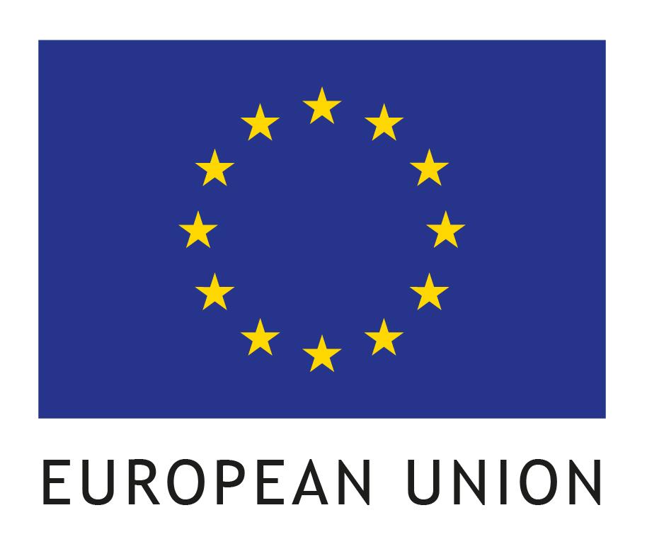 EU Flag