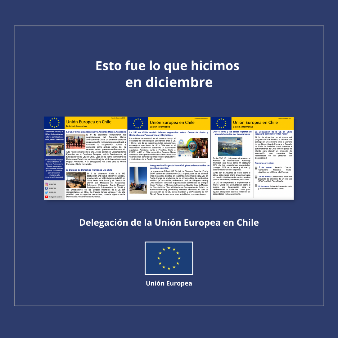 Boletin 2022