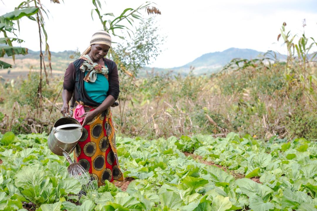 Modern farming practices under Kulima Programme