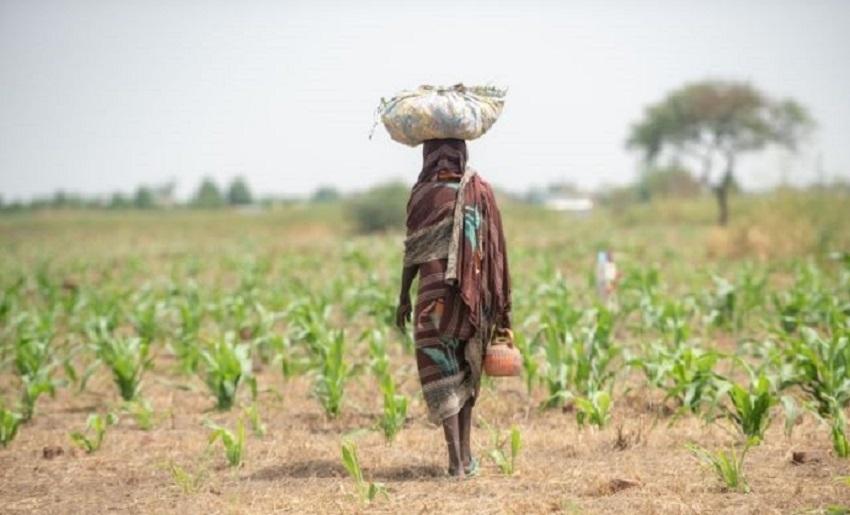 Woman carrying bag on her head