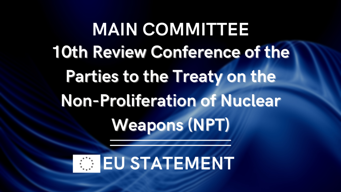 The EU at the 10th Review Conference of the Parties to the Treaty on the Non-Proliferation of Nuclear Weapons(2).png