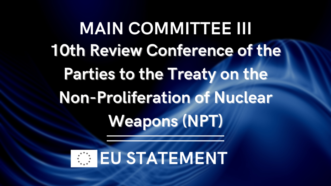 The EU at the 10th Review Conference of the Parties to the Treaty on the Non-Proliferation of Nuclear Weapons(5).png