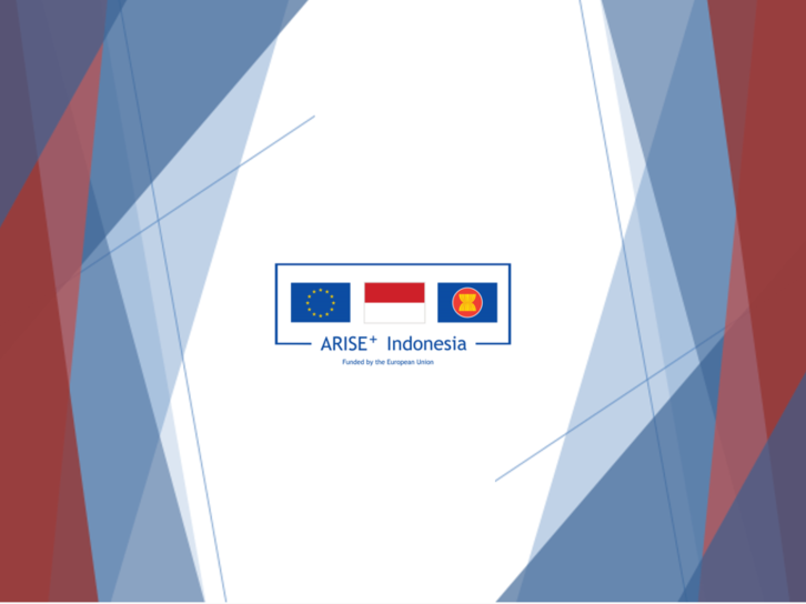 ARISE Plus Indonesia Project