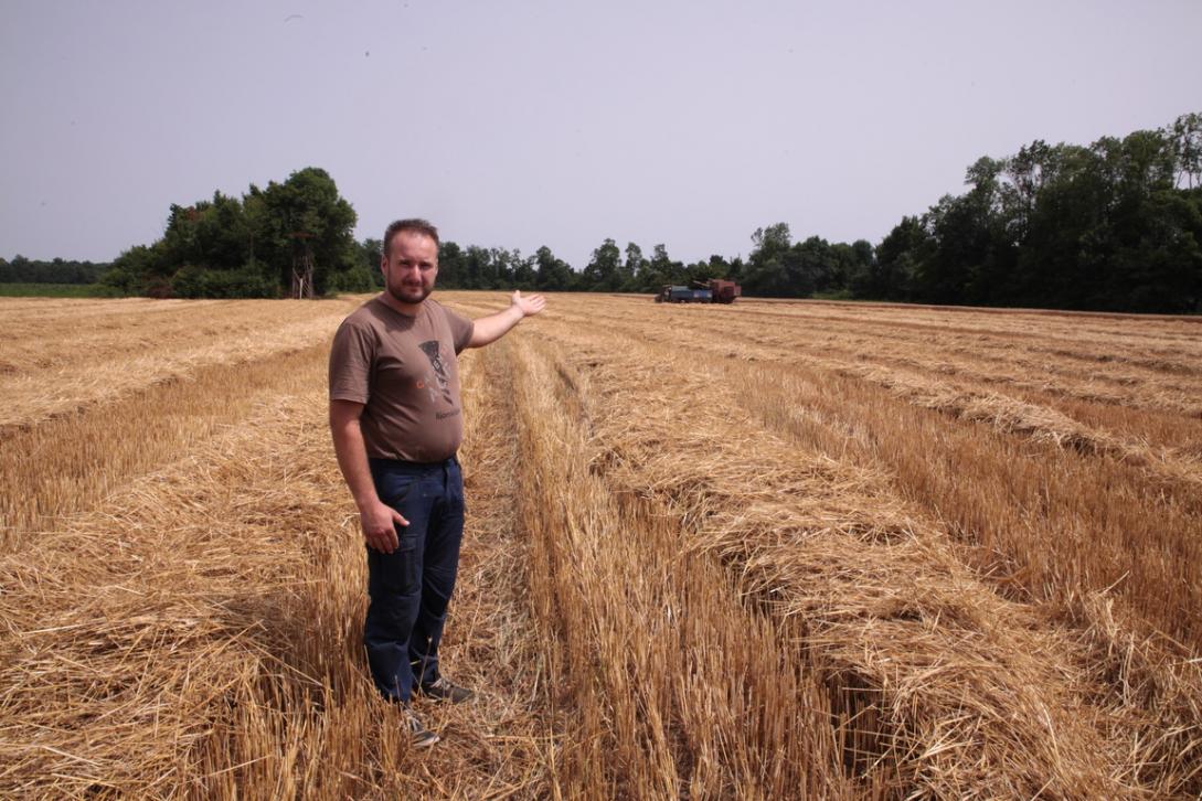 With the help of the European Union, farmers continue to grow quality cereals