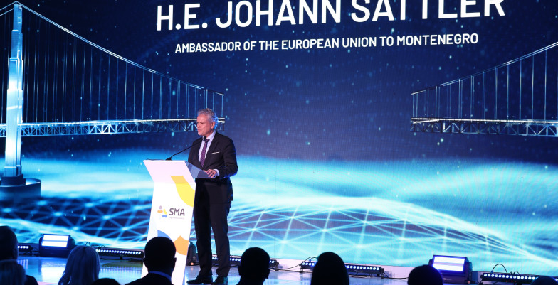 Ambassador Sattler standing behind lectern and speaking