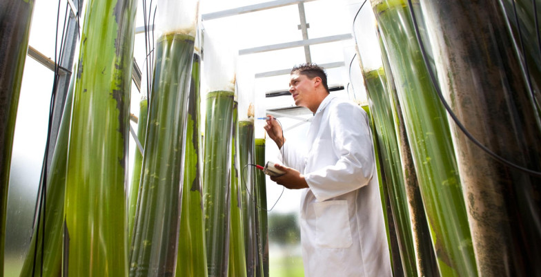 Scientist working in a lab