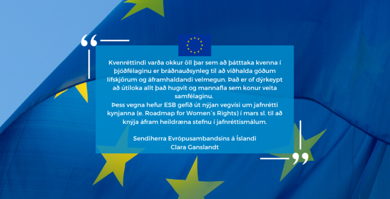Website banner highlighting a text of an oped by Ambassador Ganslandt