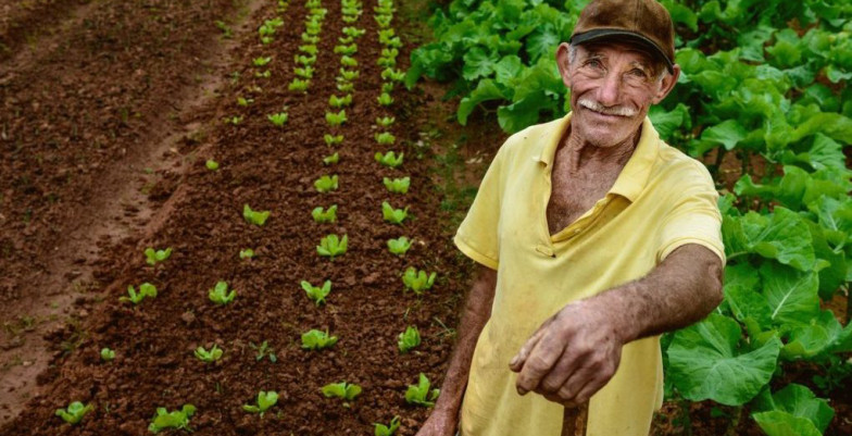 Uno de los agricultores panameños que forman parte del programa de CFE.