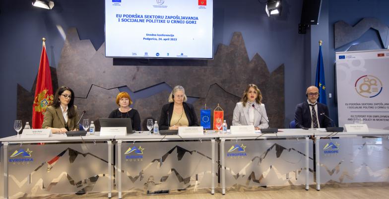 EU project conference in Europe House