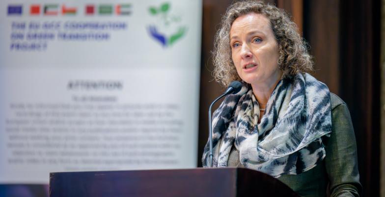 EU-UAE Business Breakfast Strengthens Global Drive for Energy Efficiency