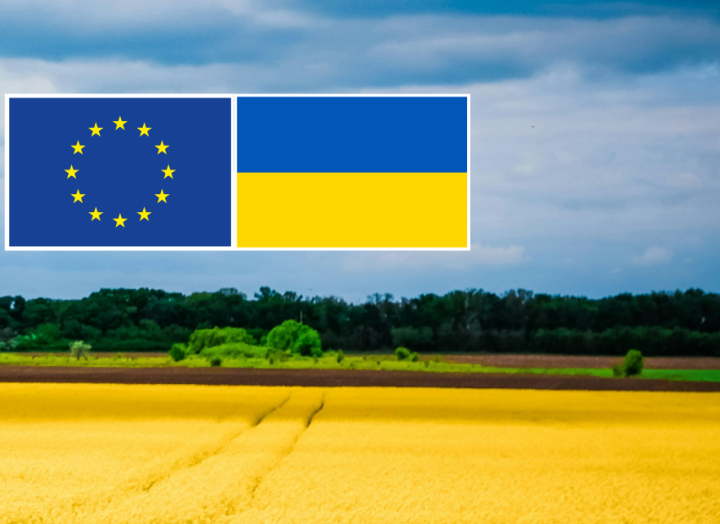 Four Years of War in Ukraine web banner