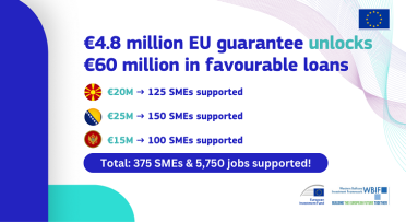 Visual with the following text: €4.8 million EU guarantee unlocks €60 million in favourable loans 