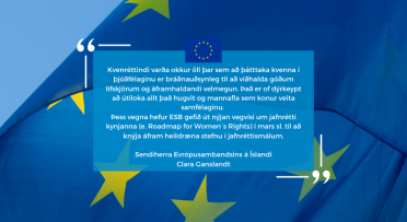 Website banner highlighting a text of an oped by Ambassador Ganslandt
