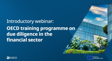 OECD Training Programme on due diligence in the financial sector