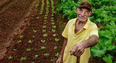Uno de los agricultores panameños que forman parte del programa de CFE.
