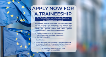 advertisement for a traineeship at the EU Delegation to Iceland