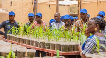Les acteurs de la recherche apprécient les innovations agricoles de l’initiative DeSIRA