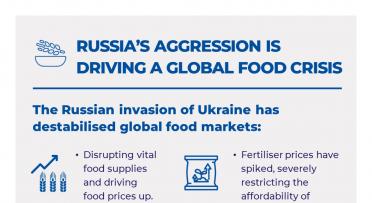 Russia's aggression is driving a global food crisis