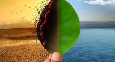 Climate change, global warming (Shutterstock)