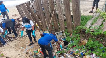 Volunteers cleaning the beach 