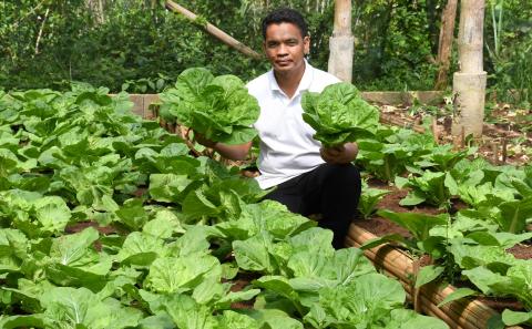 A man picks up vegetables that have been sown in a field.