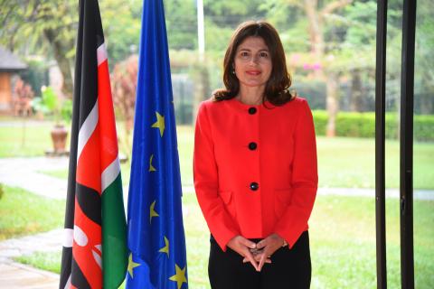 Portrait of Ms Katrin Hagemann, Chargée d’affaires ad interim.
