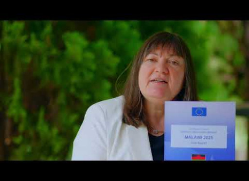 The work of the EU Election Observation Mission to Malawi's 2025 wrapped up in a summary video