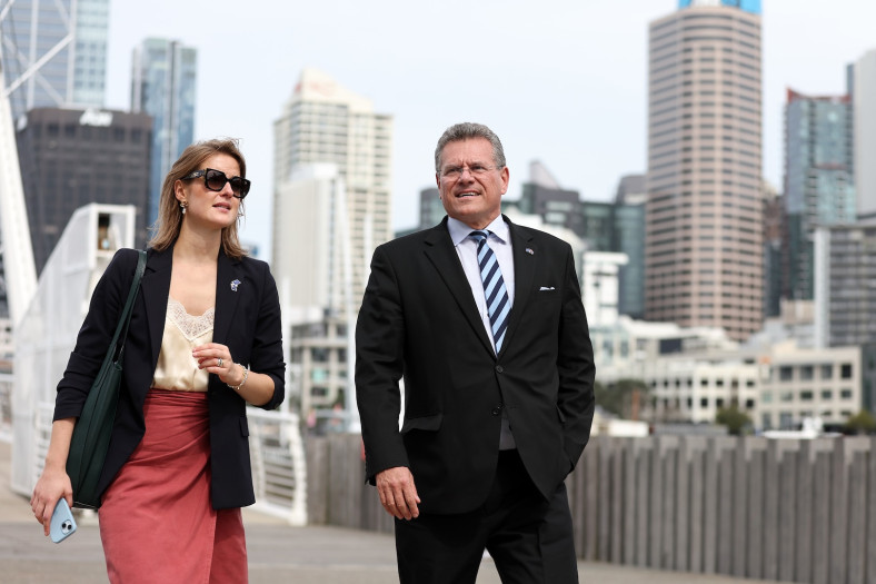 Commissioner in Auckland