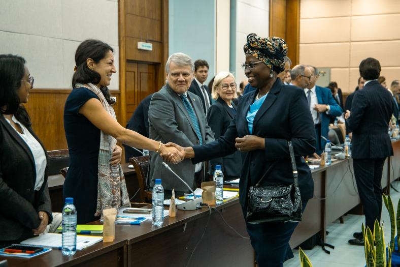 EU - Moz Partnership Dialogue