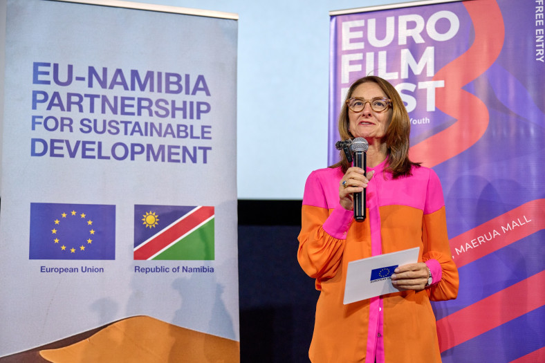 EU Ambassador's speech