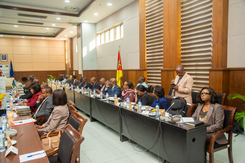 Partnership Dialogue EU - Mozambique