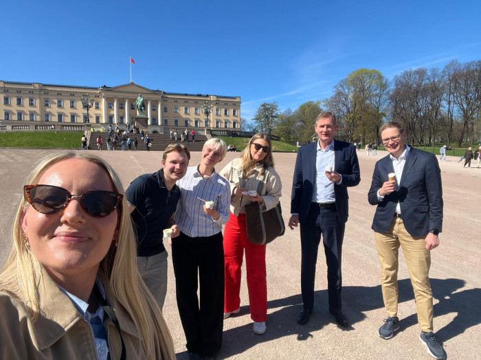 Gåtur foran Slottet