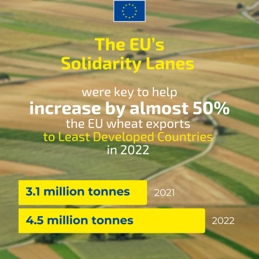 Text on visual: The EU Solidarity Lanes helped increase by 50% the EU wheat export to LDC in 2022