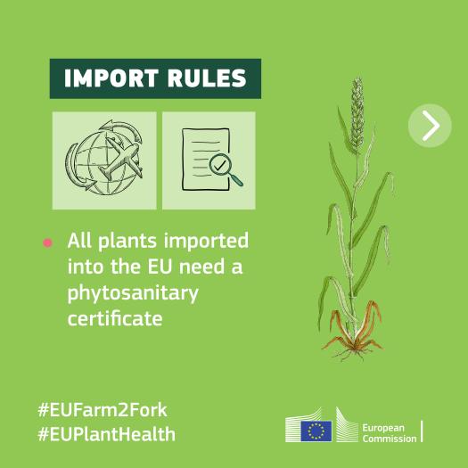 info card on plant health and EU