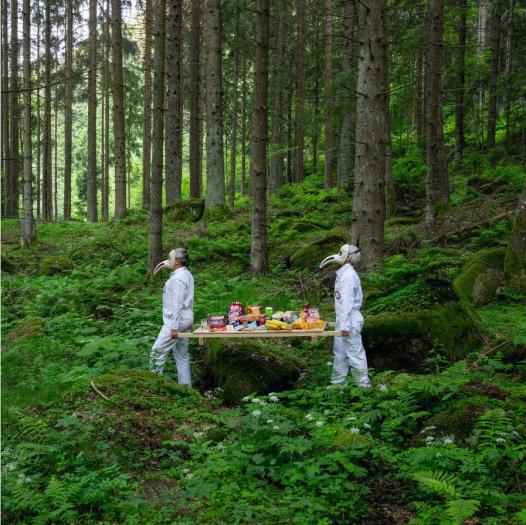 teo persons in forest carrying table with food products