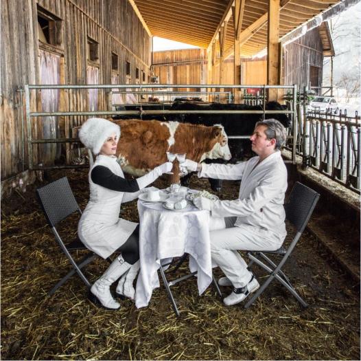two people table eating milk farm cow