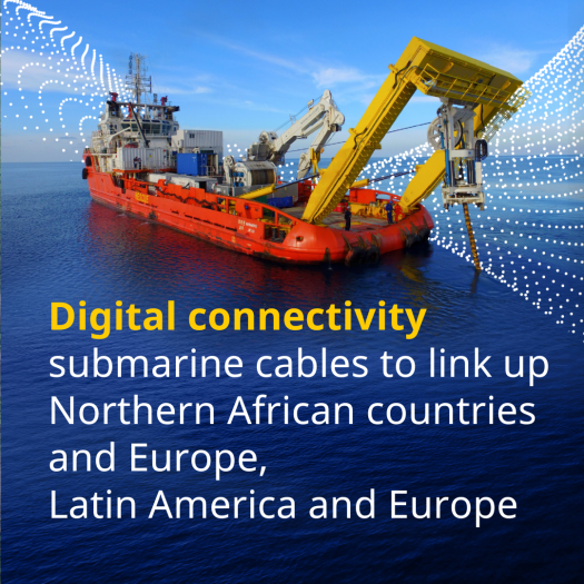 Global Gateway - Digital Connectivity card